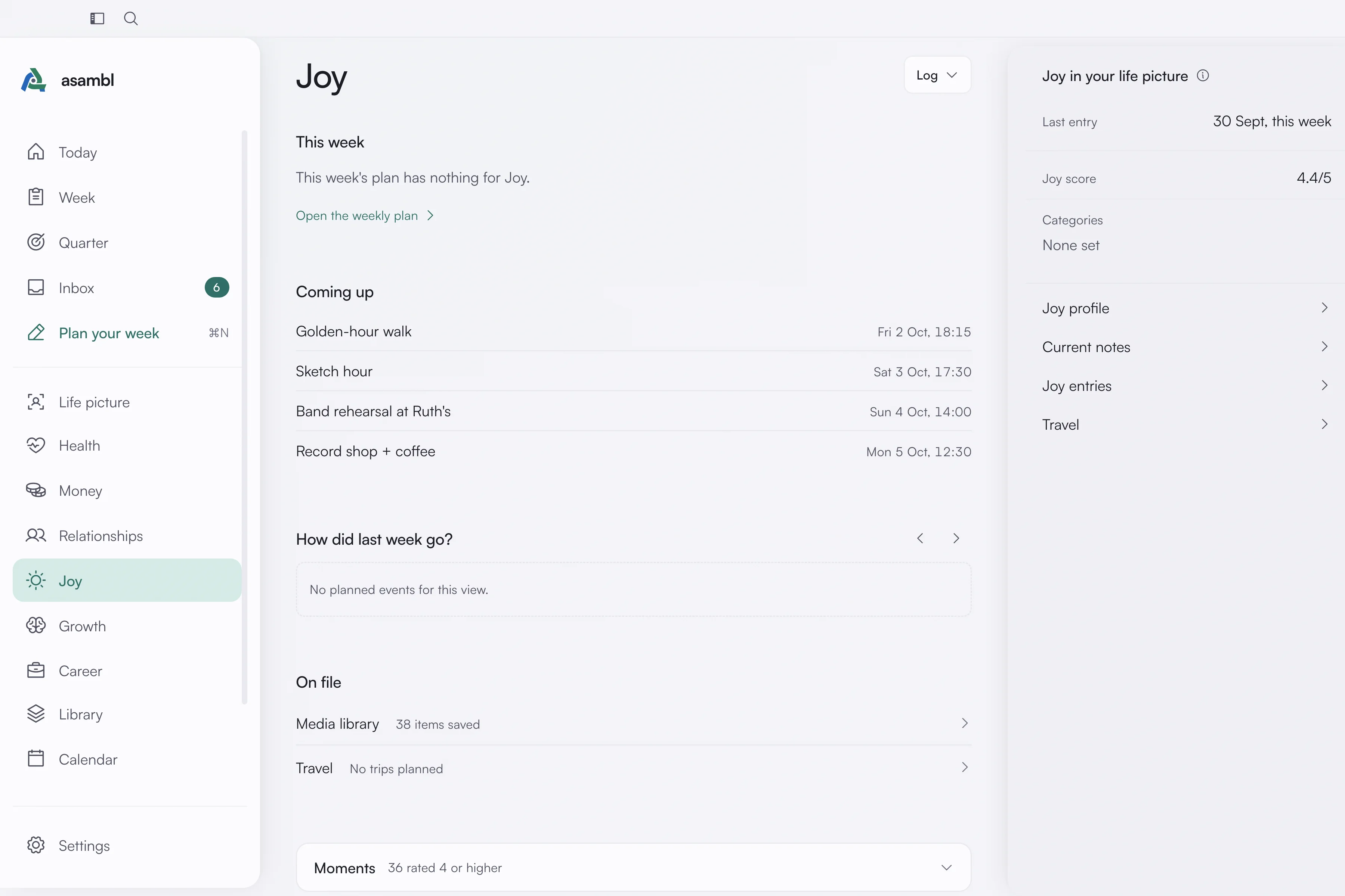 The Joy area